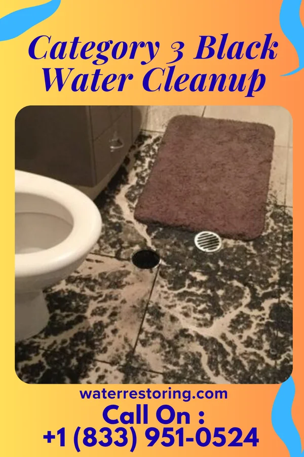 Category 3 Black Water Cleanup in Holden Beach, NC