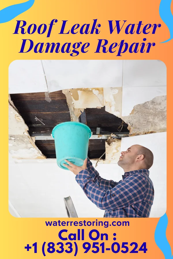 Roof Leak Water Damage Repair in Holden Beach, NC
