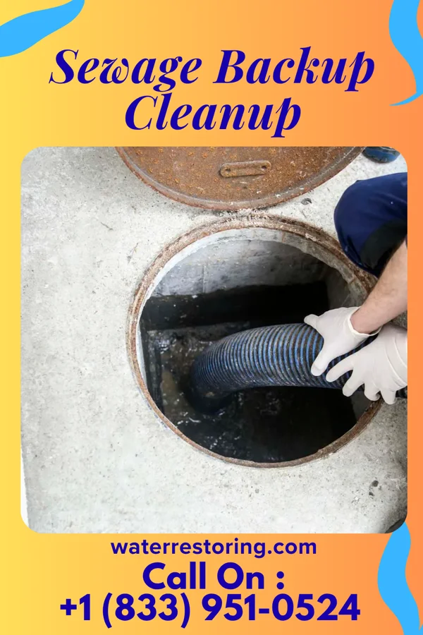 Sewage Backup Cleanup in Holden Beach, NC